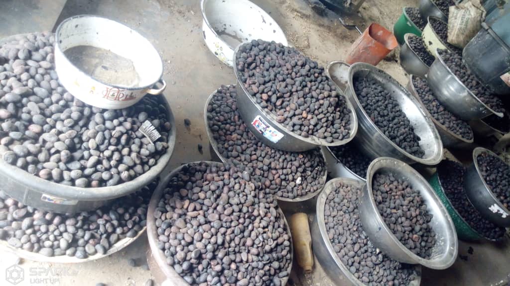 Protecting forests and nature